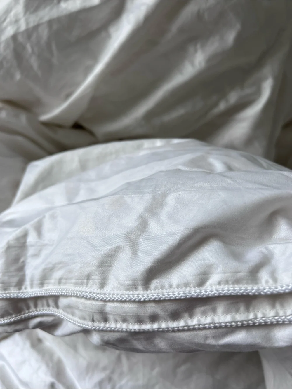 Blue Ridge Home Fashion 500 thread count premium white down king size comforter